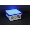 Dark Reader Blue Light Transilluminator