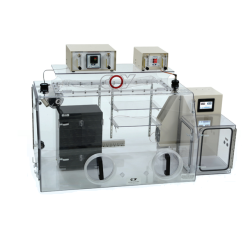 O2 Control Glove Box for Cell Culture