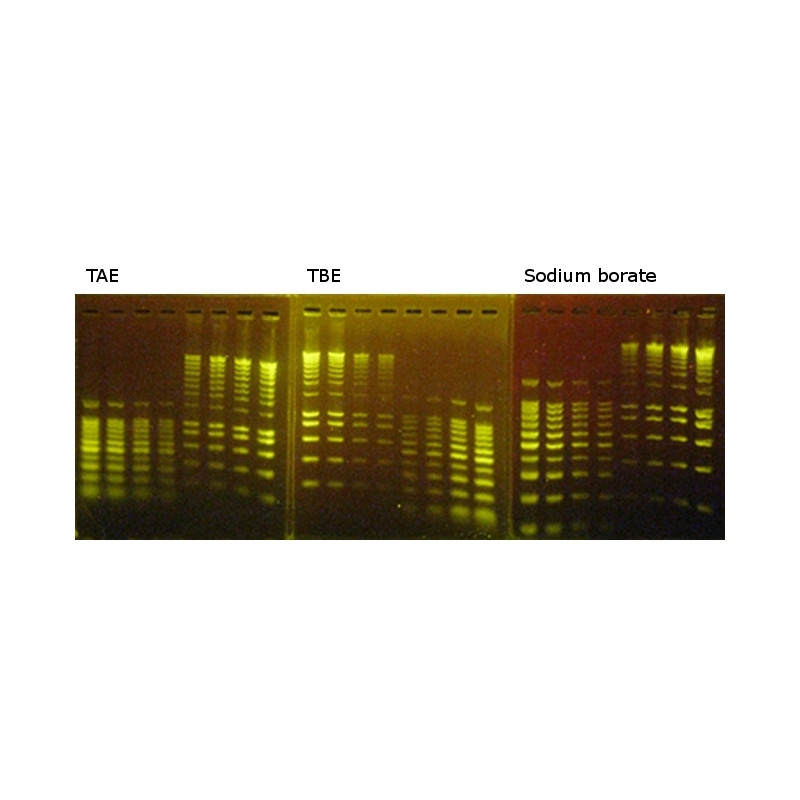 GRGreen Nucleic Acid Stain