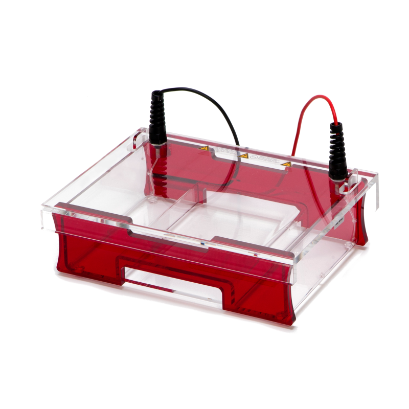 Electrophoresis